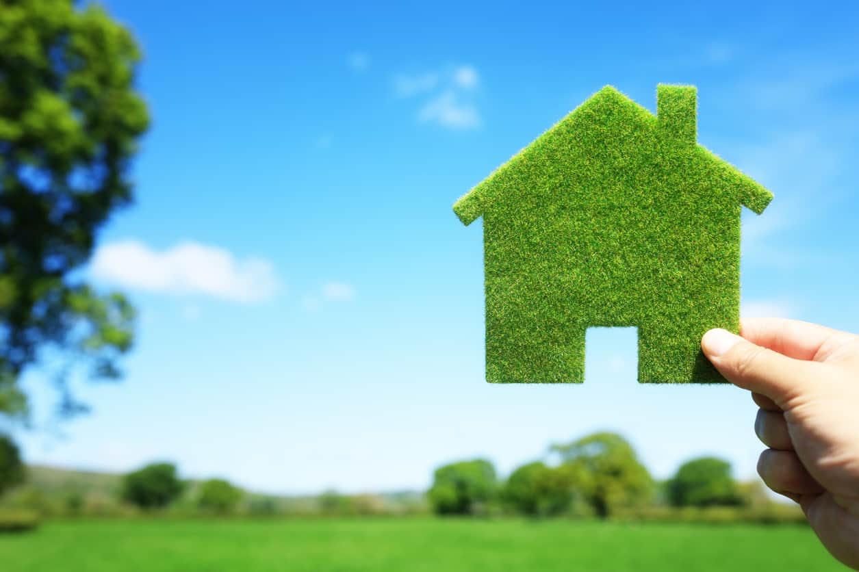 sunny home